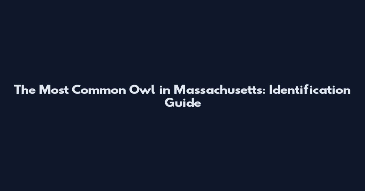 The Most Common Owl in Massachusetts: Identification Guide