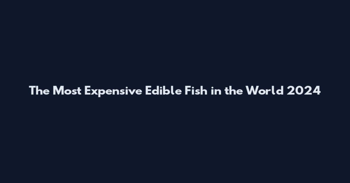 The Most Expensive Edible Fish in the World 2024