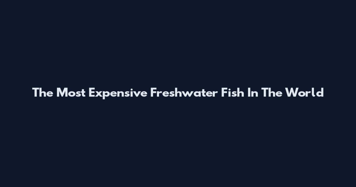 The Most Expensive Freshwater Fish In The World