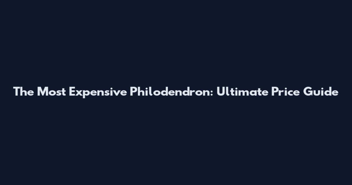 The Most Expensive Philodendron: Ultimate Price Guide