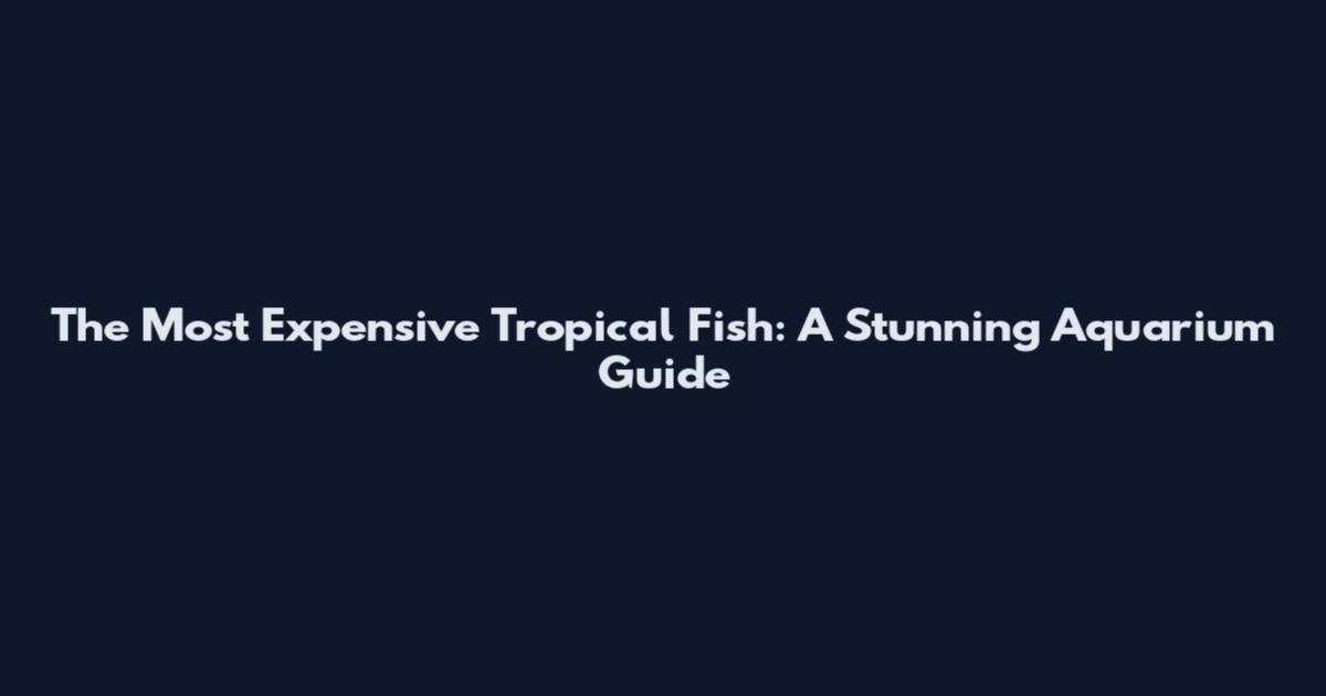 The Most Expensive Tropical Fish: A Stunning Aquarium Guide