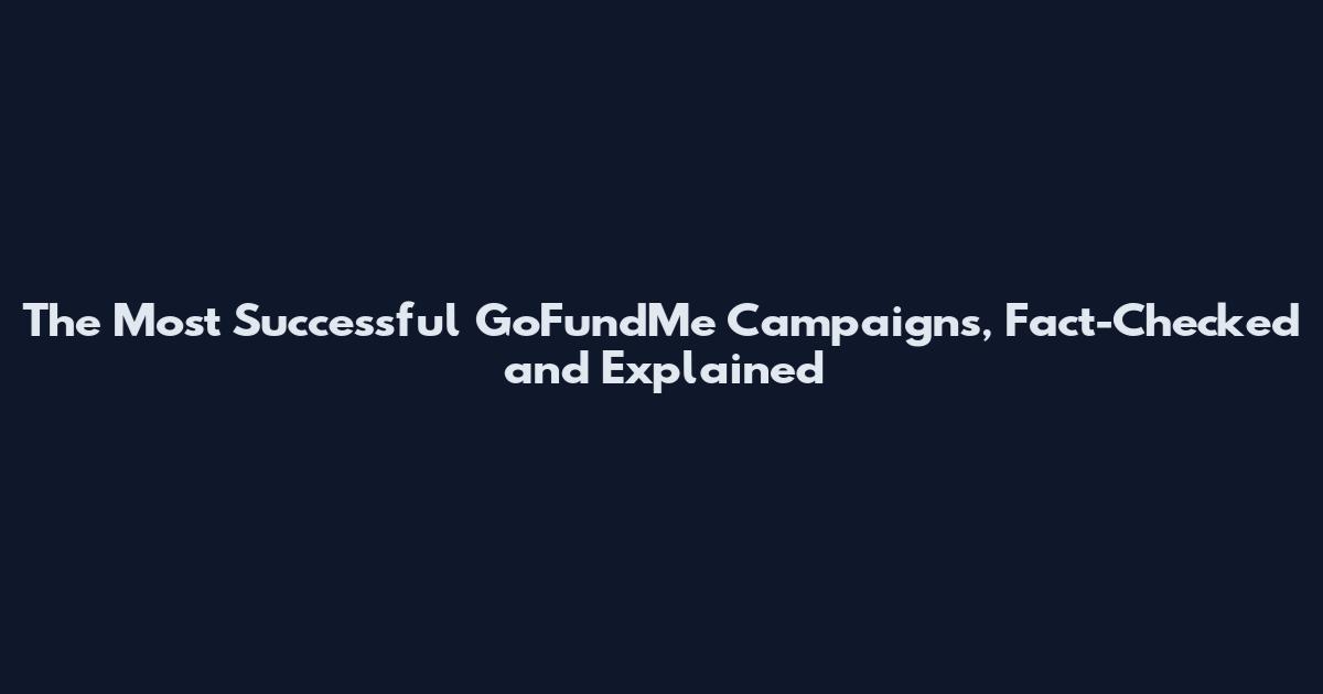 The Most Successful GoFundMe Campaigns, Fact-Checked and Explained