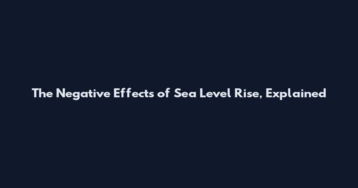 The Negative Effects of Sea Level Rise, Explained