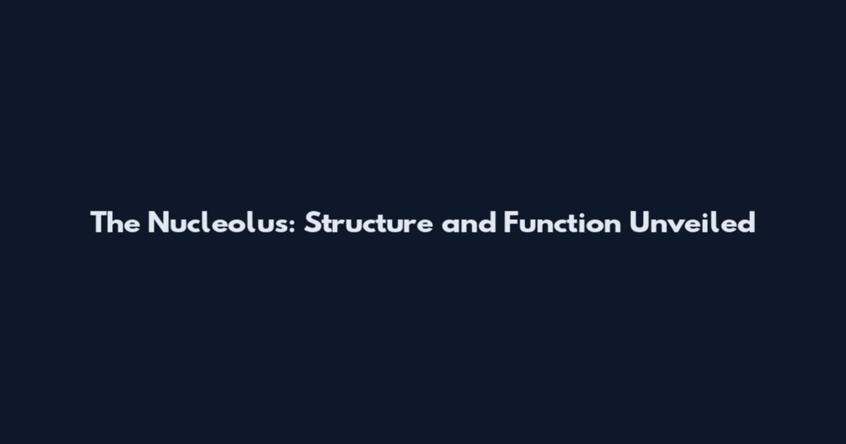 The Nucleolus: Structure and Function Unveiled