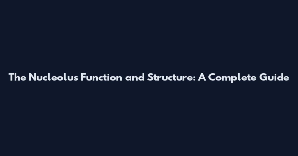 The Nucleolus Function and Structure: A Complete Guide
