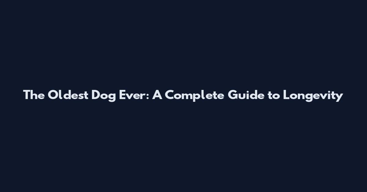 The Oldest Dog Ever: A Complete Guide to Longevity