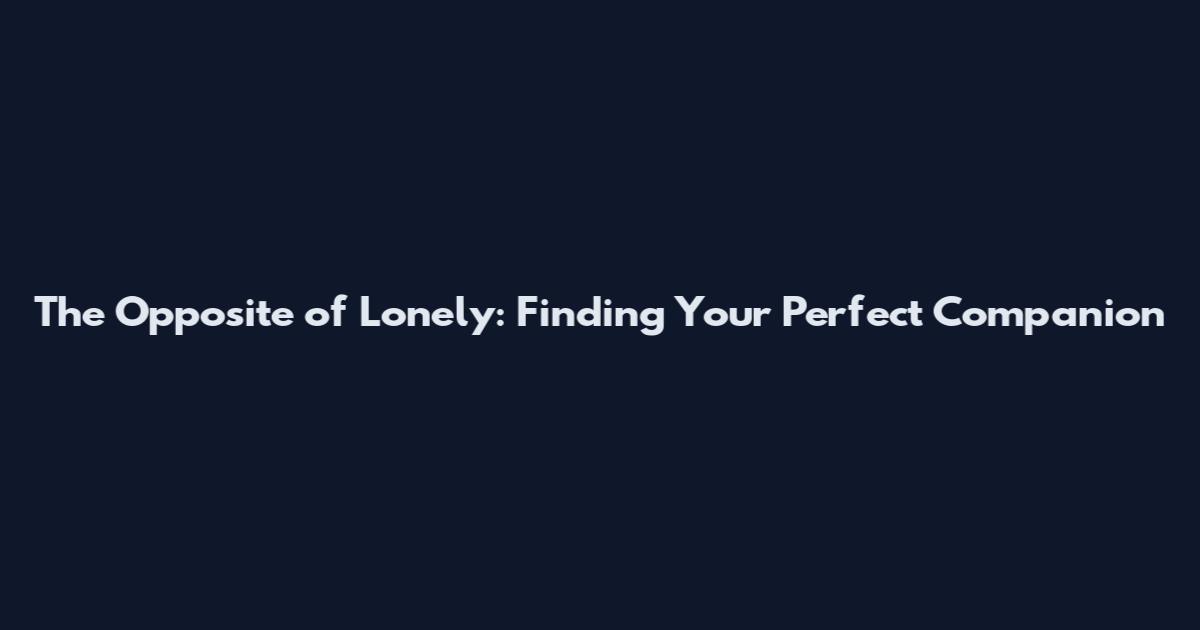 The Opposite of Lonely: Finding Your Perfect Companion