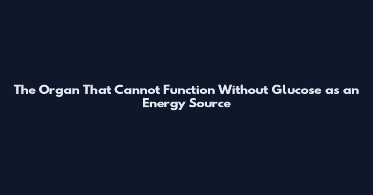 The Organ That Cannot Function Without Glucose as an Energy Source