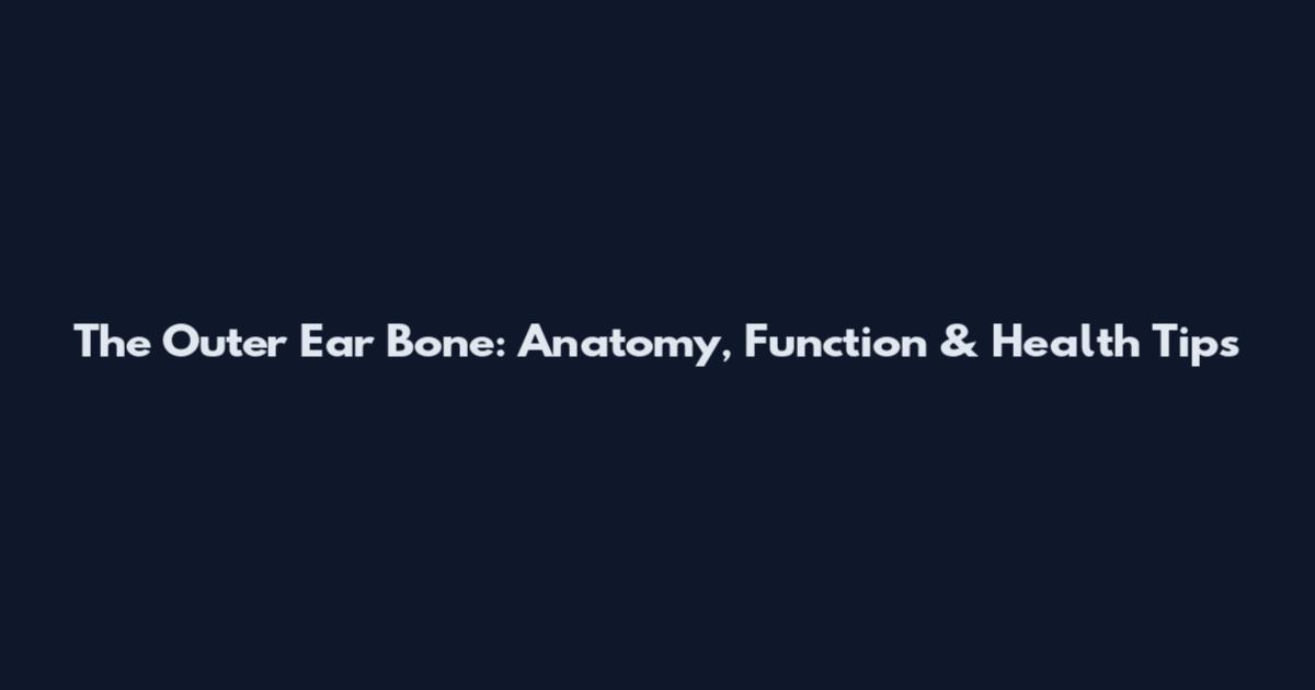The Outer Ear Bone: Anatomy, Function & Health Tips