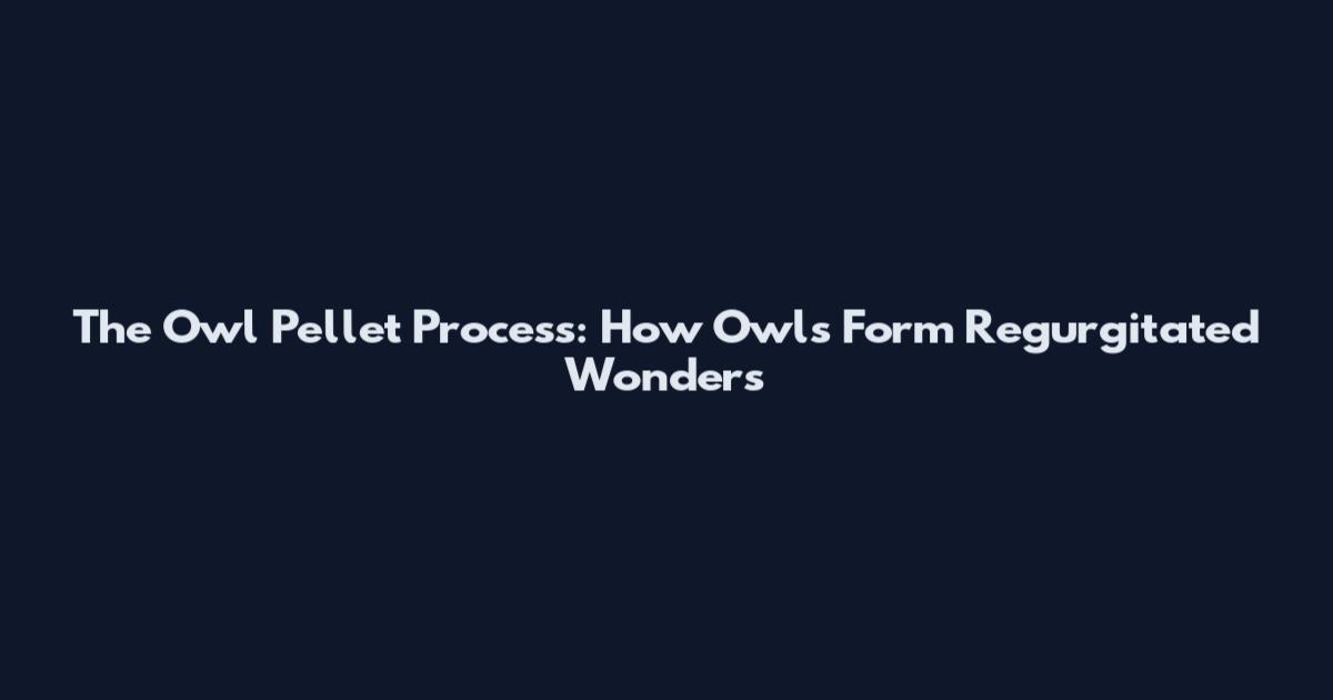 The Owl Pellet Process: How Owls Form Regurgitated Wonders