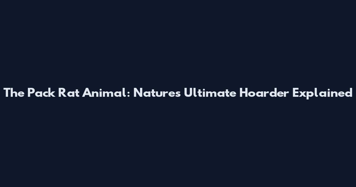 The Pack Rat Animal: Nature's Ultimate Hoarder Explained