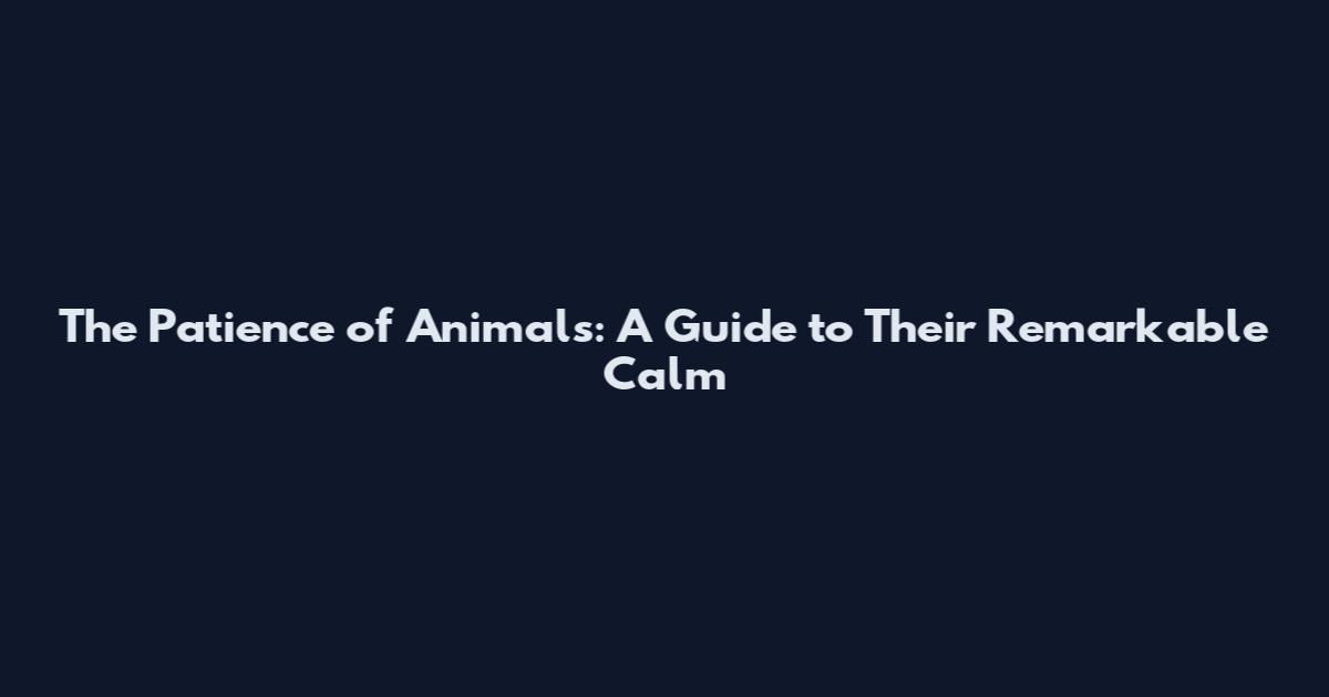 The Patience of Animals: A Guide to Their Remarkable Calm