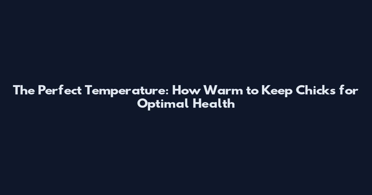 The Perfect Temperature: How Warm to Keep Chicks for Optimal Health