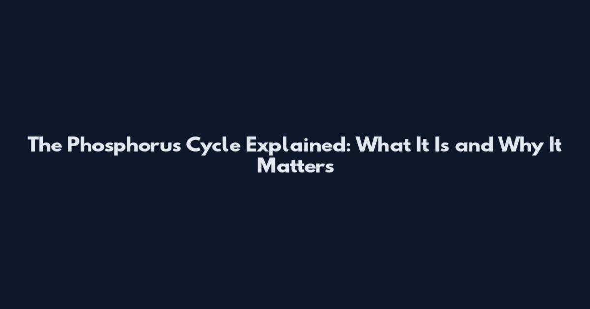 The Phosphorus Cycle Explained: What It Is and Why It Matters