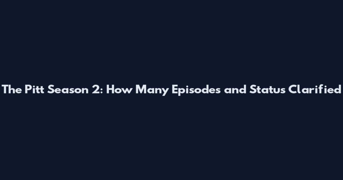 The Pitt Season 2: How Many Episodes and Status Clarified