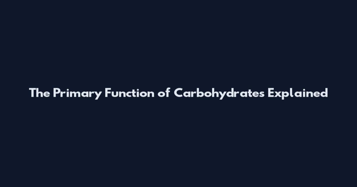 The Primary Function of Carbohydrates Explained