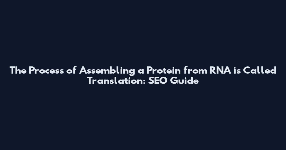 The Process of Assembling a Protein from RNA is Called Translation: SEO Guide