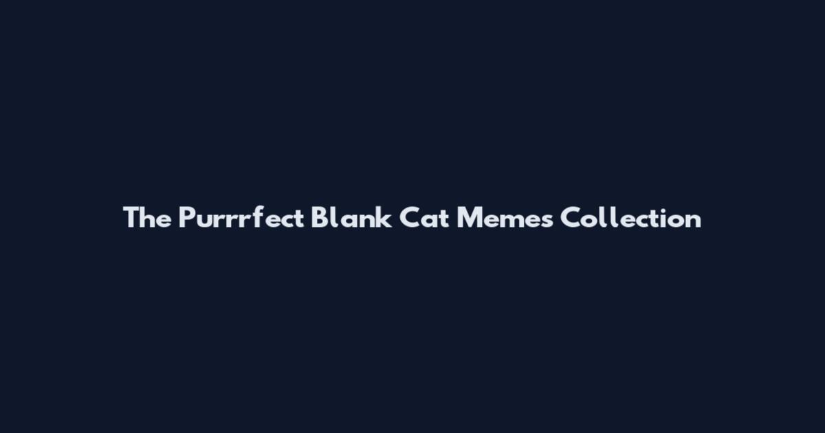 The Purrrfect Blank Cat Memes Collection