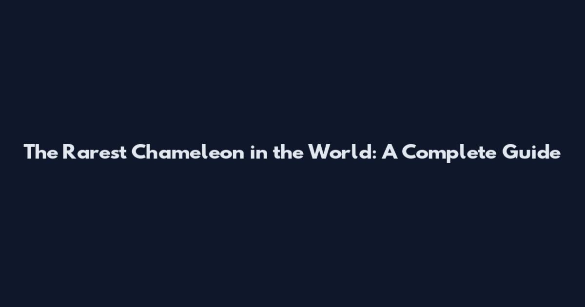 The Rarest Chameleon in the World: A Complete Guide