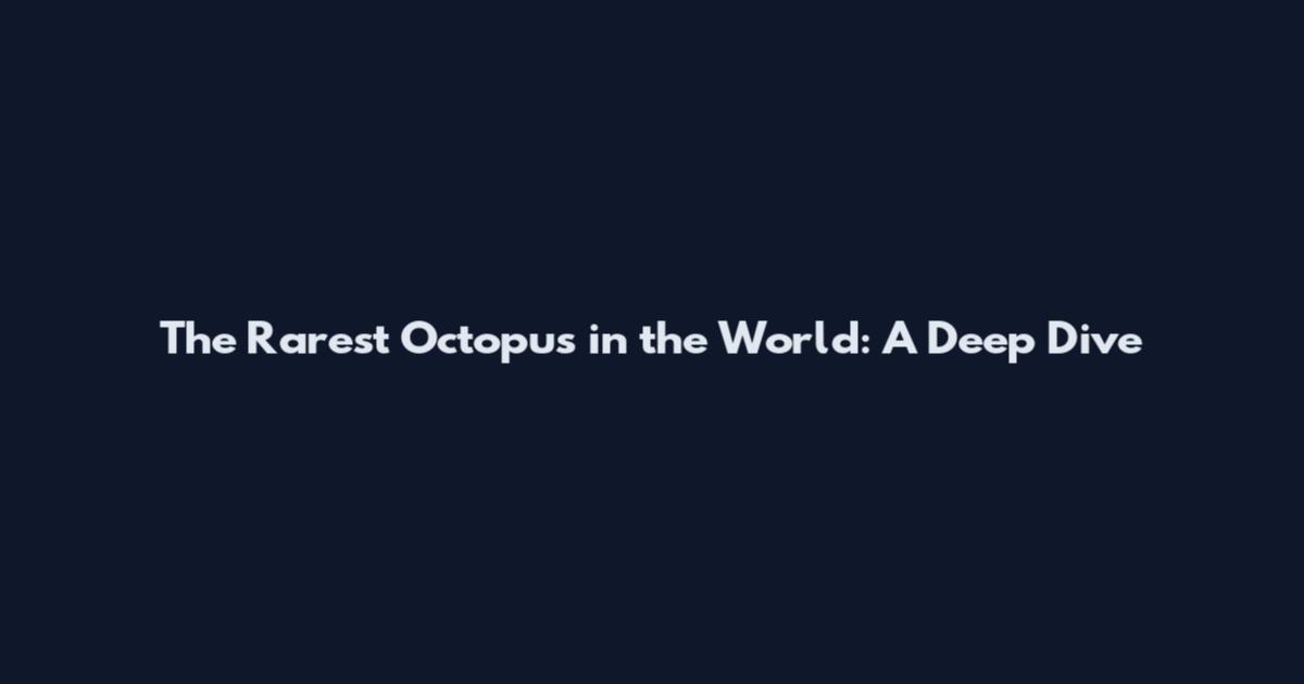 The Rarest Octopus in the World: A Deep Dive