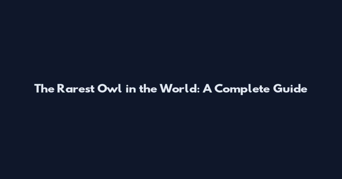 The Rarest Owl in the World: A Complete Guide