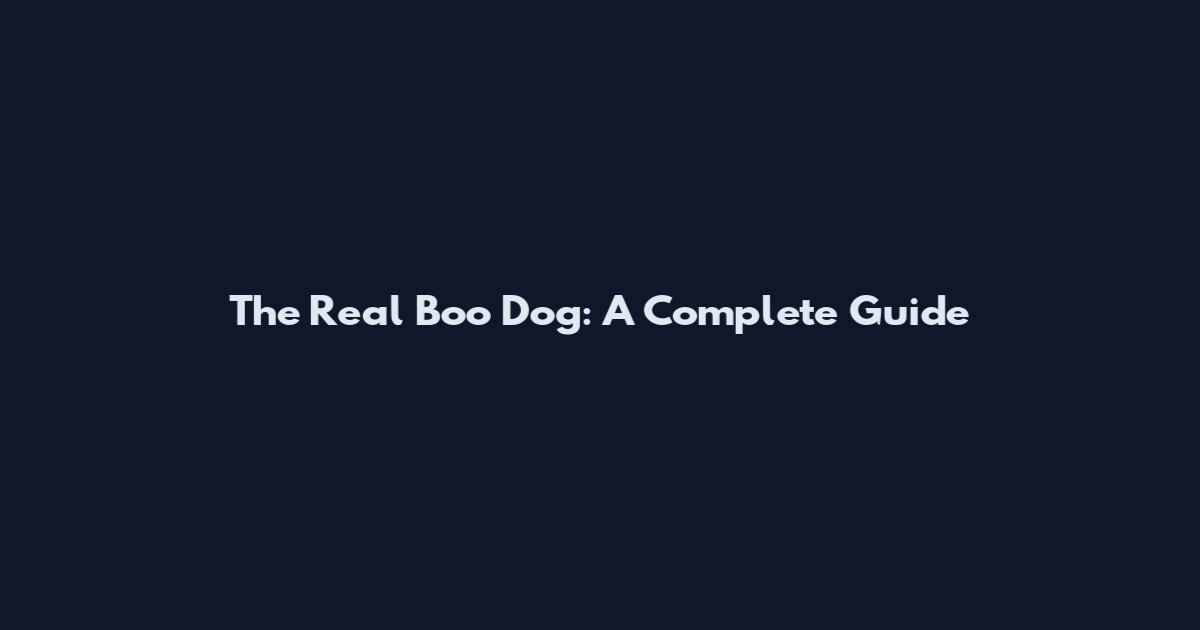 The Real Boo Dog: A Complete Guide