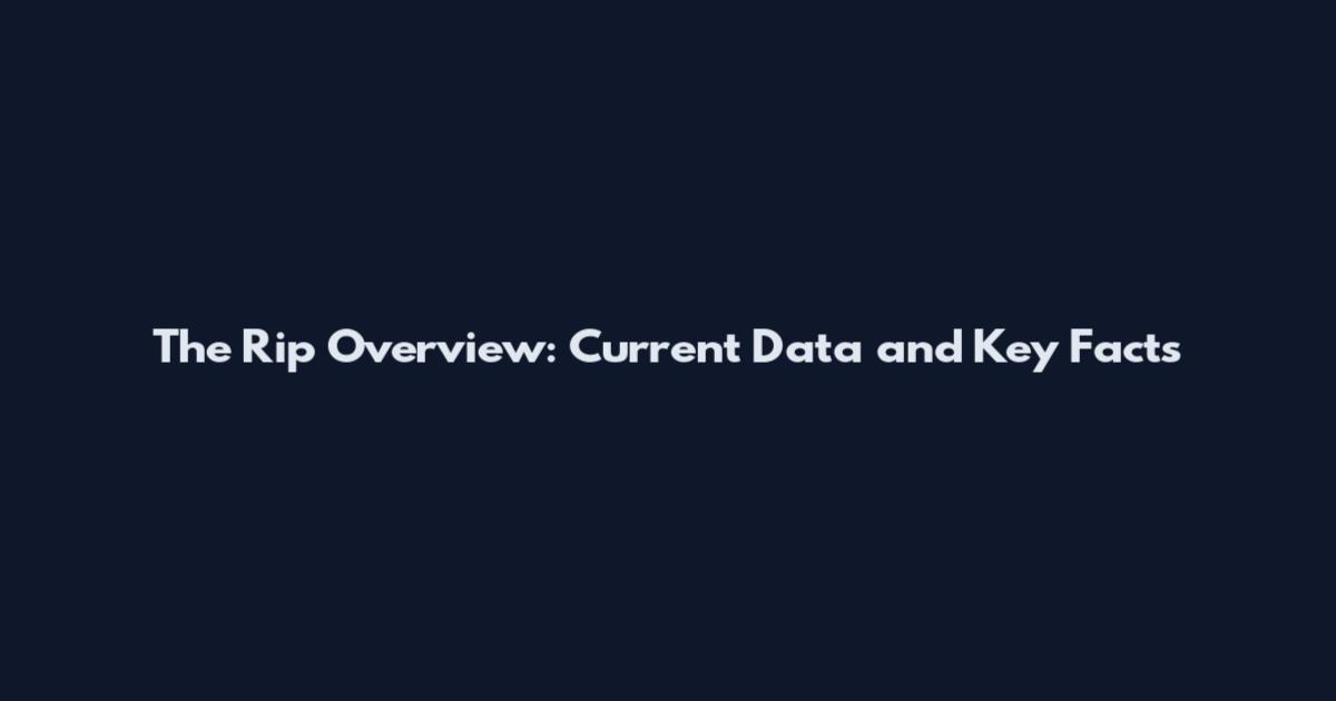 The Rip Overview: Current Data and Key Facts