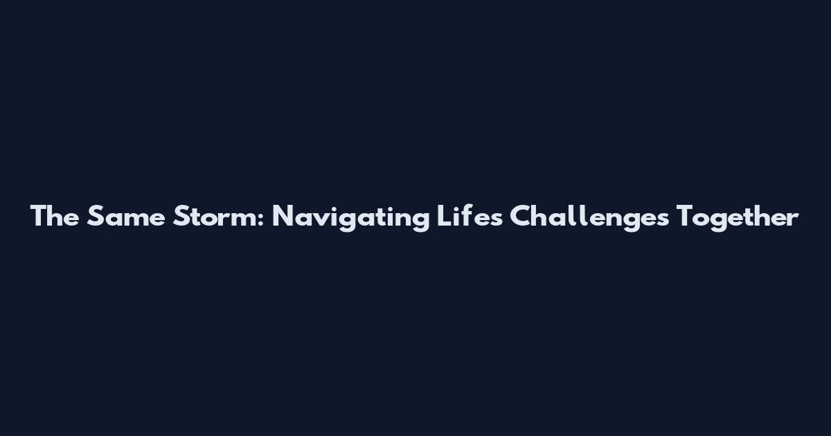 The Same Storm: Navigating Life's Challenges Together