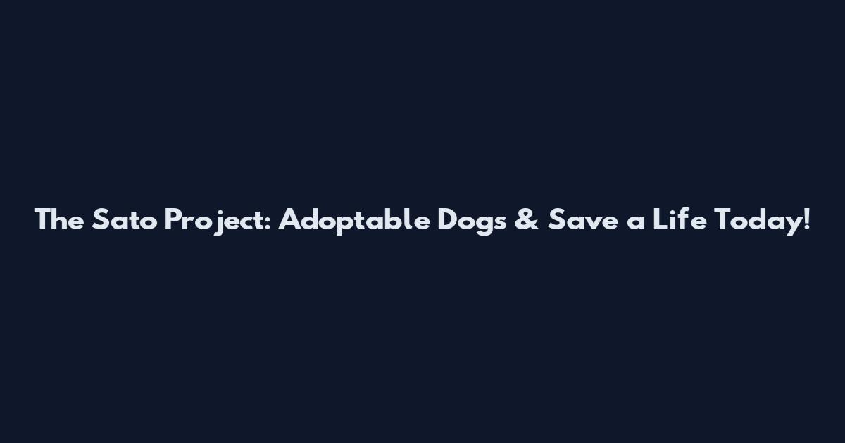 The Sato Project: Adoptable Dogs & Save a Life Today!
