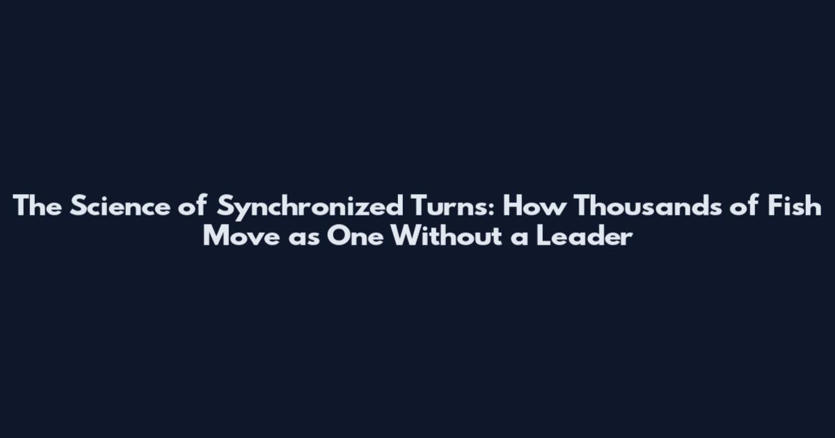 The Science of Synchronized Turns: How Thousands of Fish Move as One Without a Leader