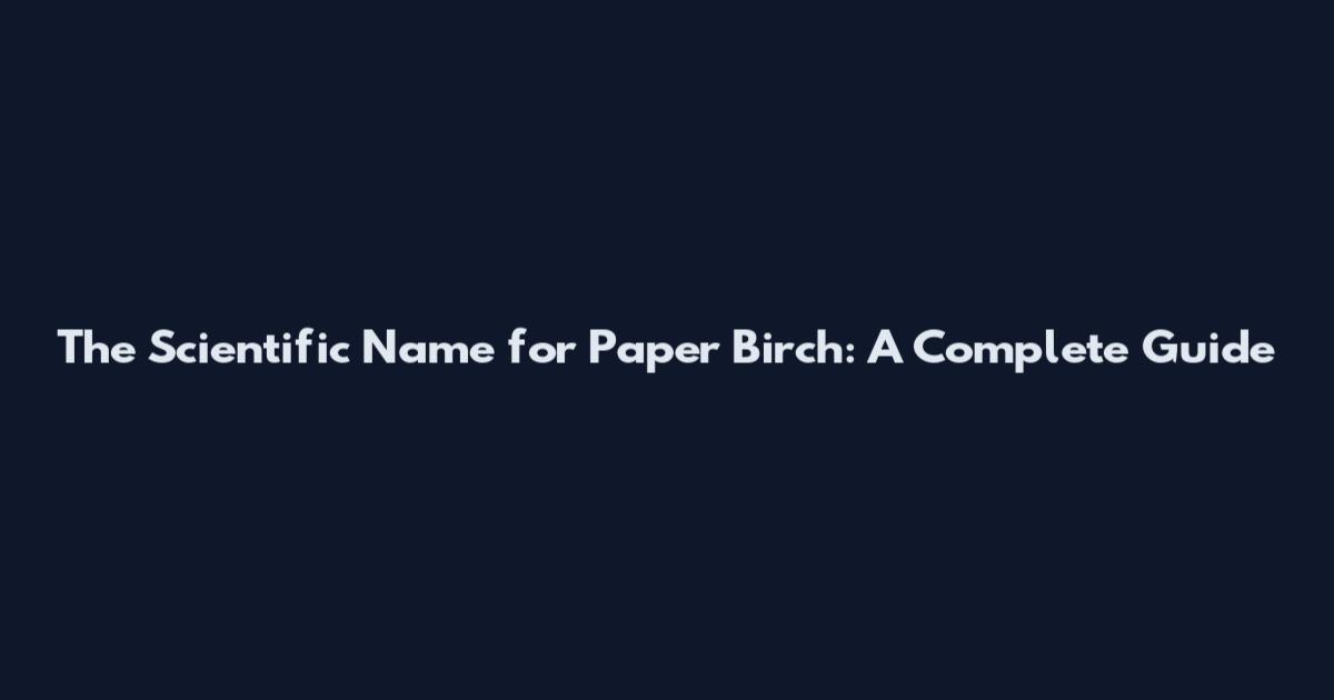 The Scientific Name for Paper Birch: A Complete Guide