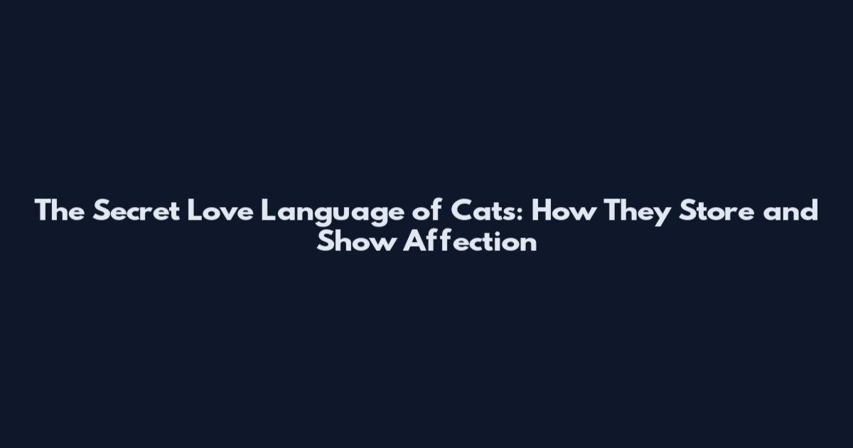The Secret Love Language of Cats: How They Store and Show Affection