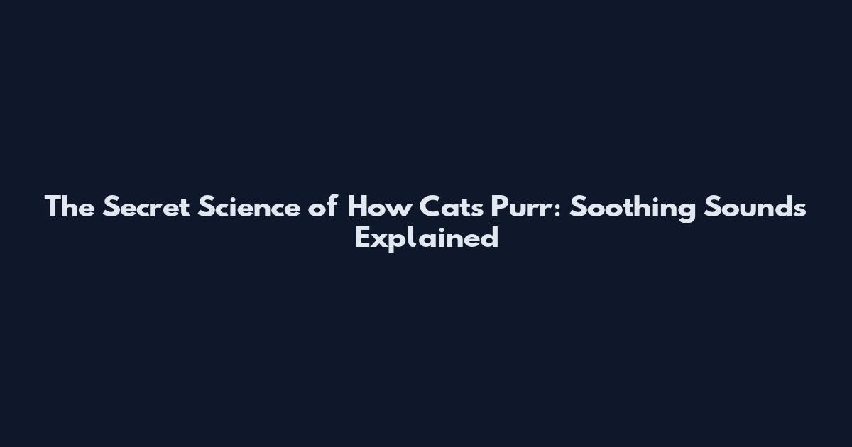 The Secret Science of How Cats Purr: Soothing Sounds Explained
