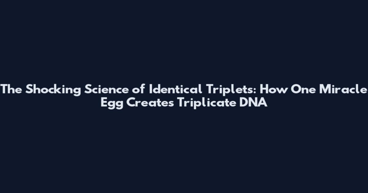The Shocking Science of Identical Triplets: How One Miracle Egg Creates Triplicate DNA
