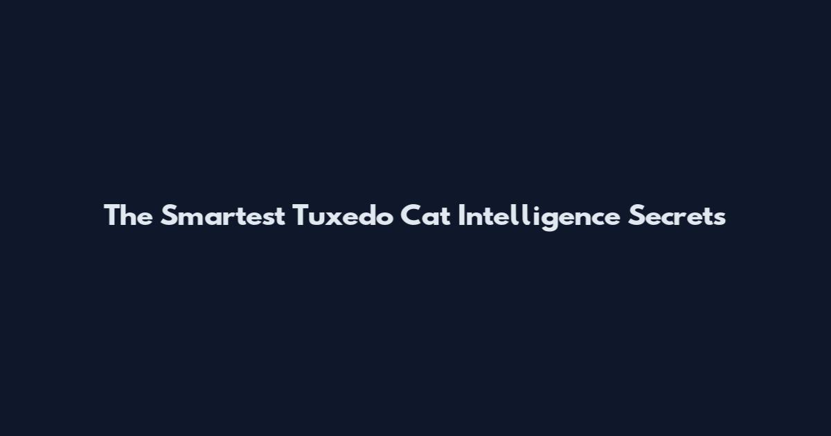 The Smartest Tuxedo Cat Intelligence Secrets
