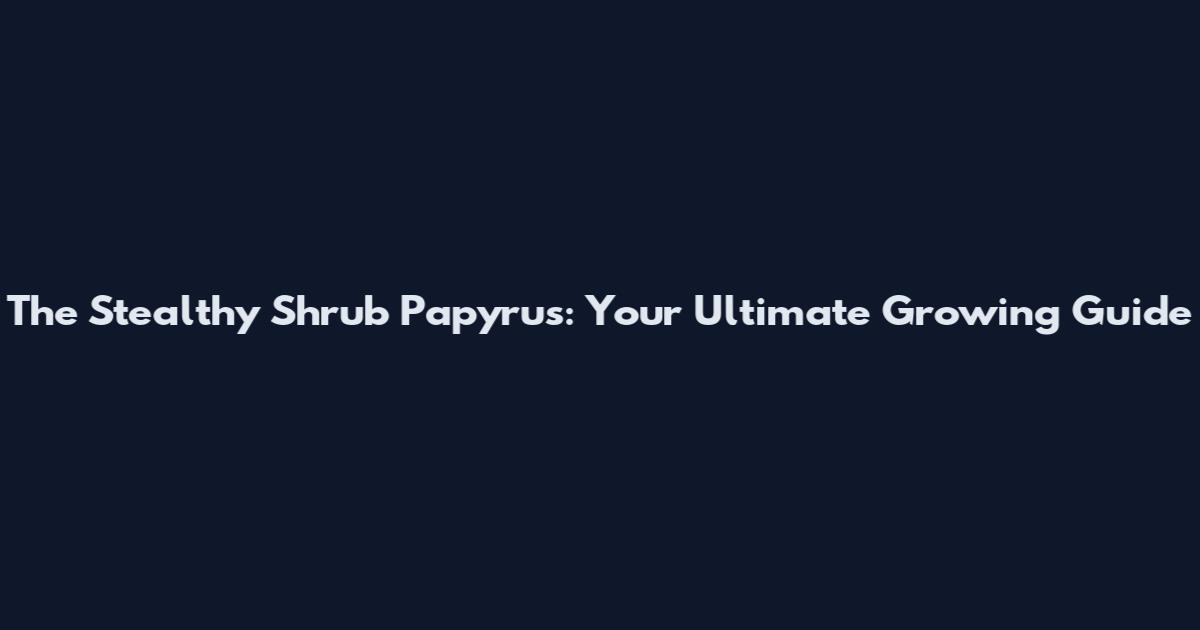 The Stealthy Shrub Papyrus: Your Ultimate Growing Guide