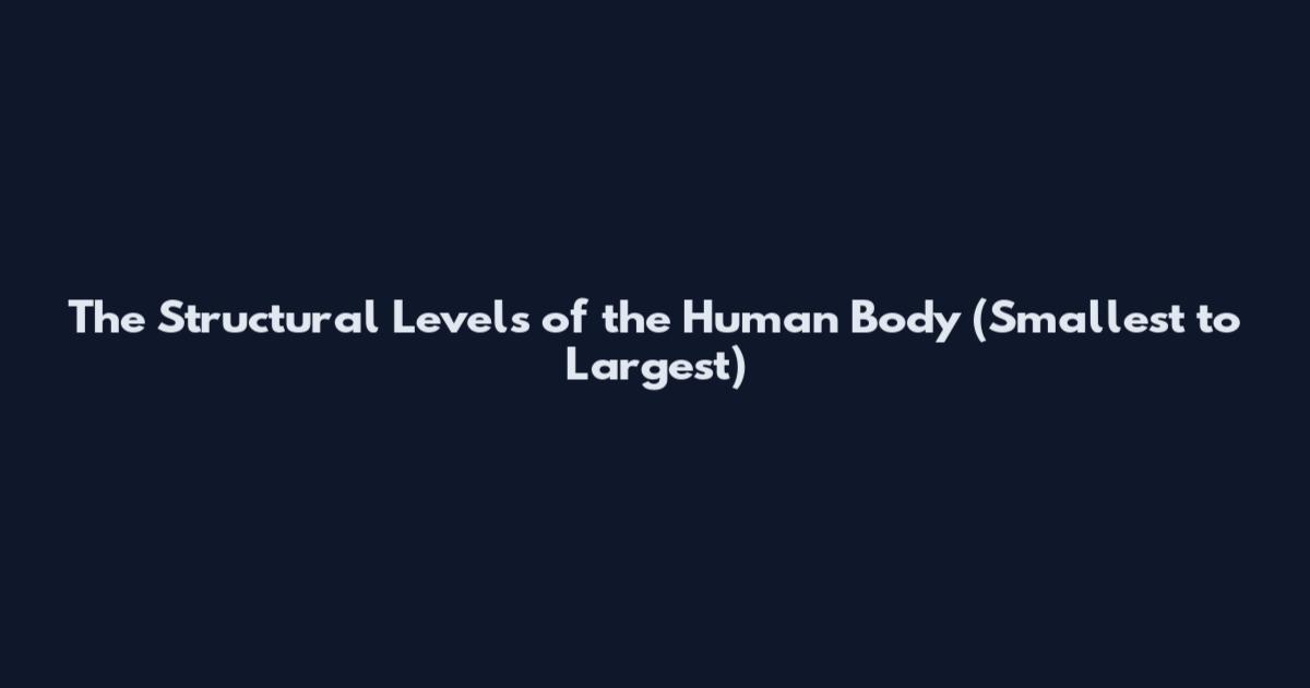 The Structural Levels of the Human Body (Smallest to Largest)