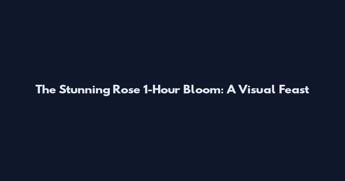 The Stunning Rose 1-Hour Bloom: A Visual Feast