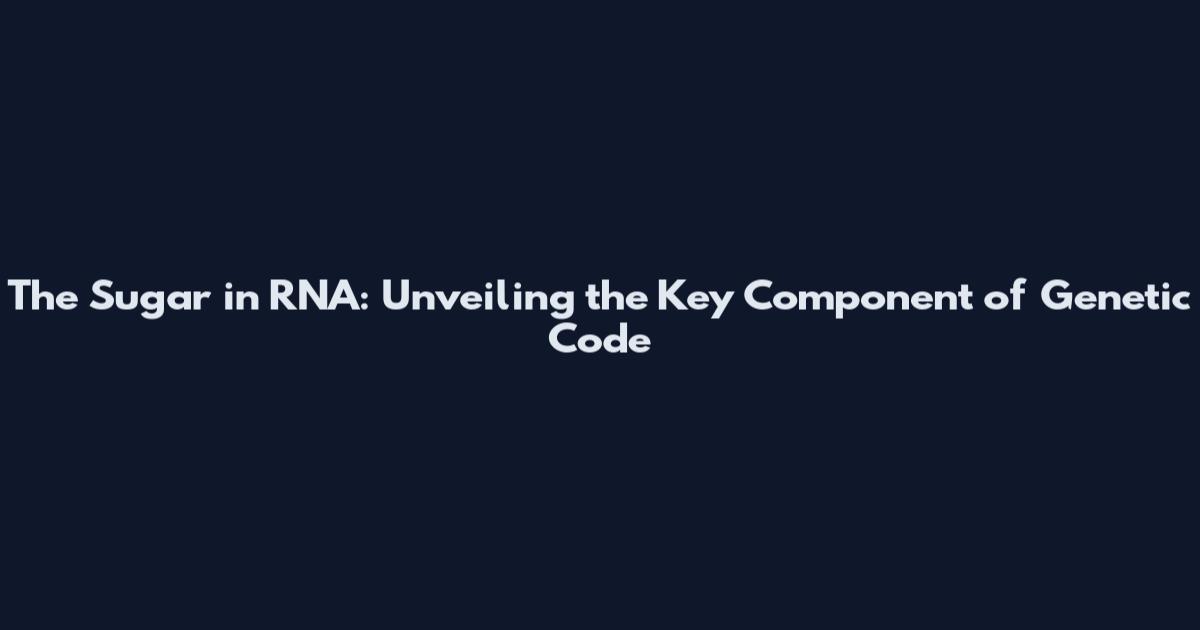 The Sugar in RNA: Unveiling the Key Component of Genetic Code