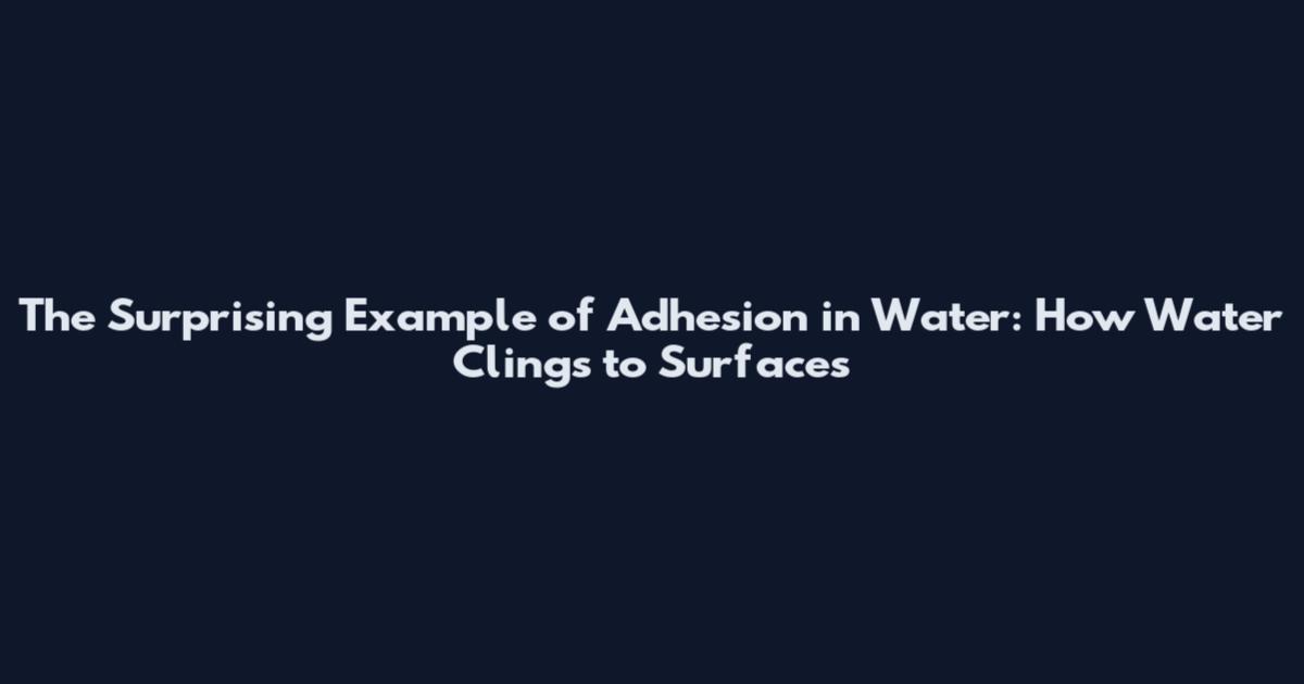 The Surprising Example of Adhesion in Water: How Water Clings to Surfaces