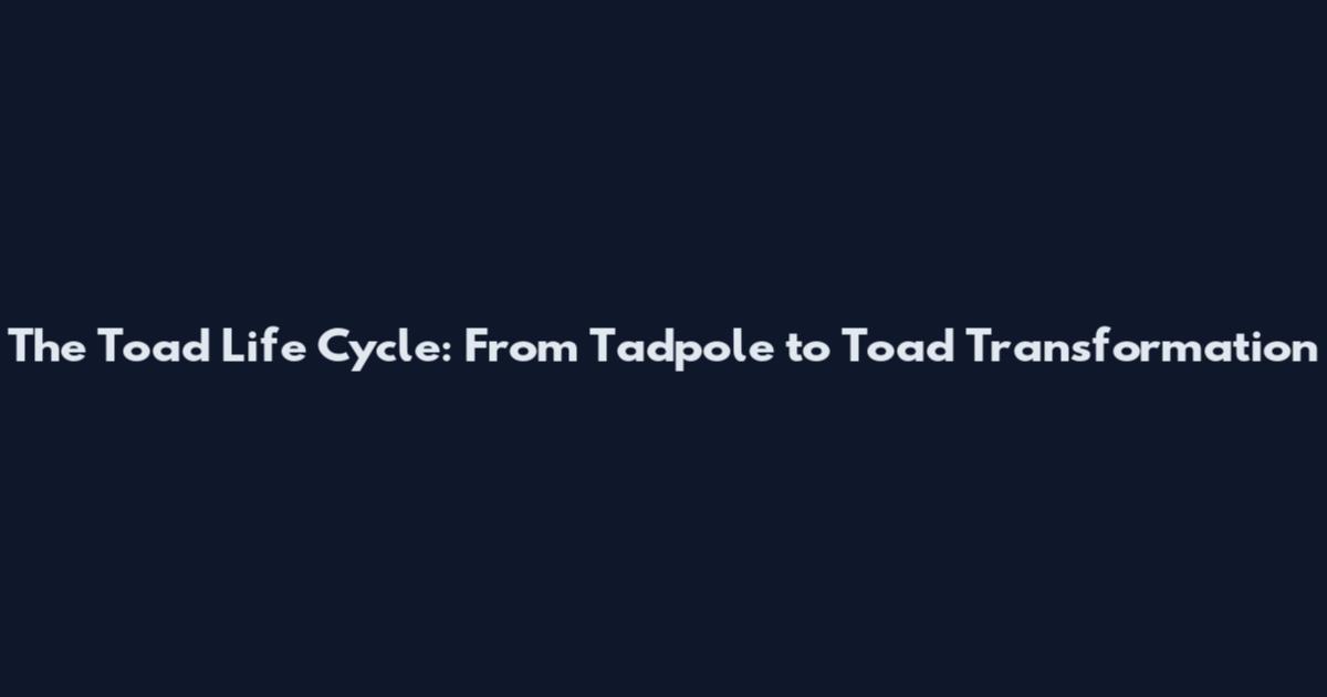 The Toad Life Cycle: From Tadpole to Toad Transformation