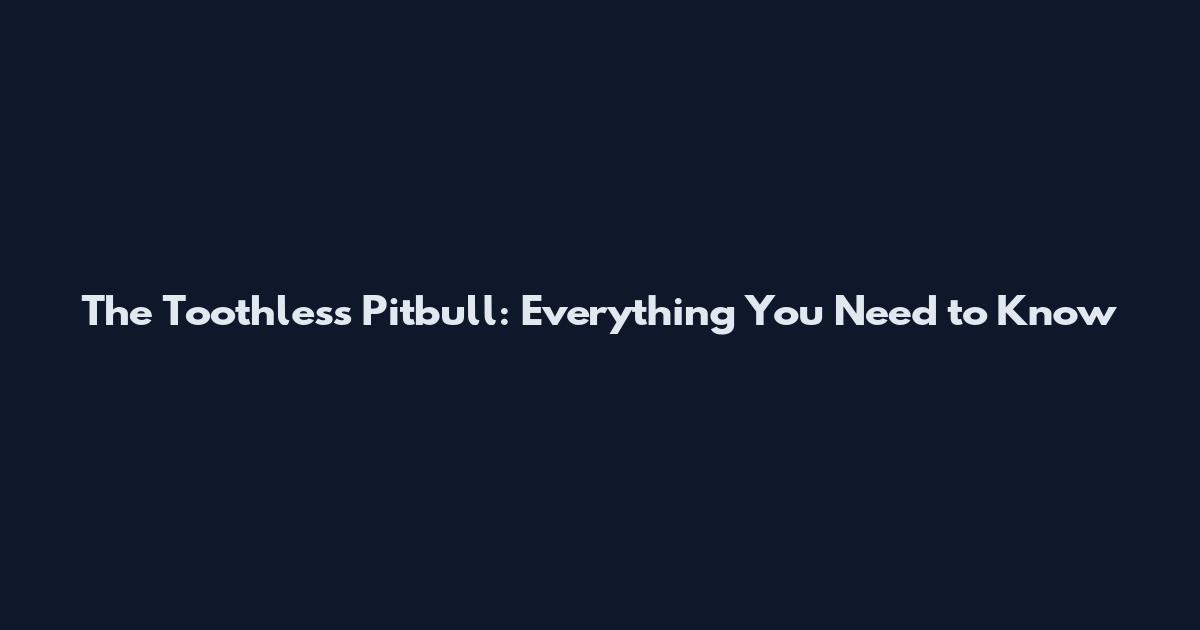 The Toothless Pitbull: Everything You Need to Know