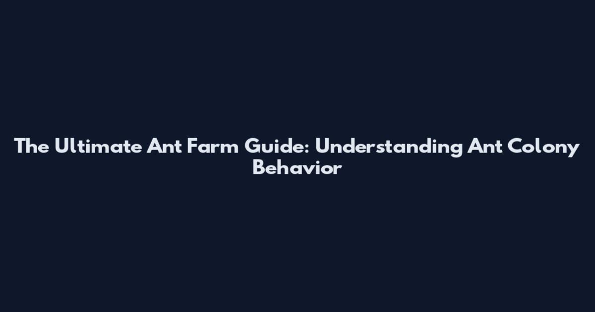 The Ultimate Ant Farm Guide: Understanding Ant Colony Behavior