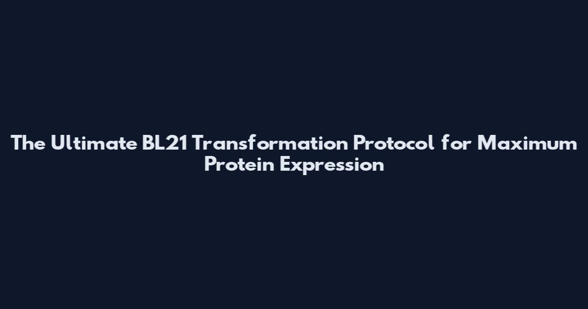 The Ultimate BL21 Transformation Protocol for Maximum Protein Expression