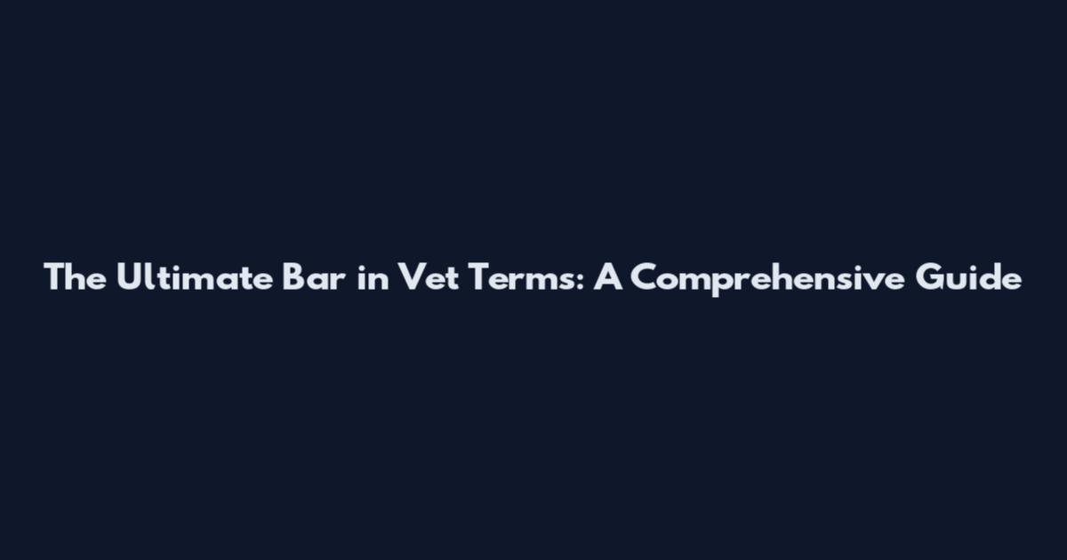 The Ultimate Bar in Vet Terms: A Comprehensive Guide