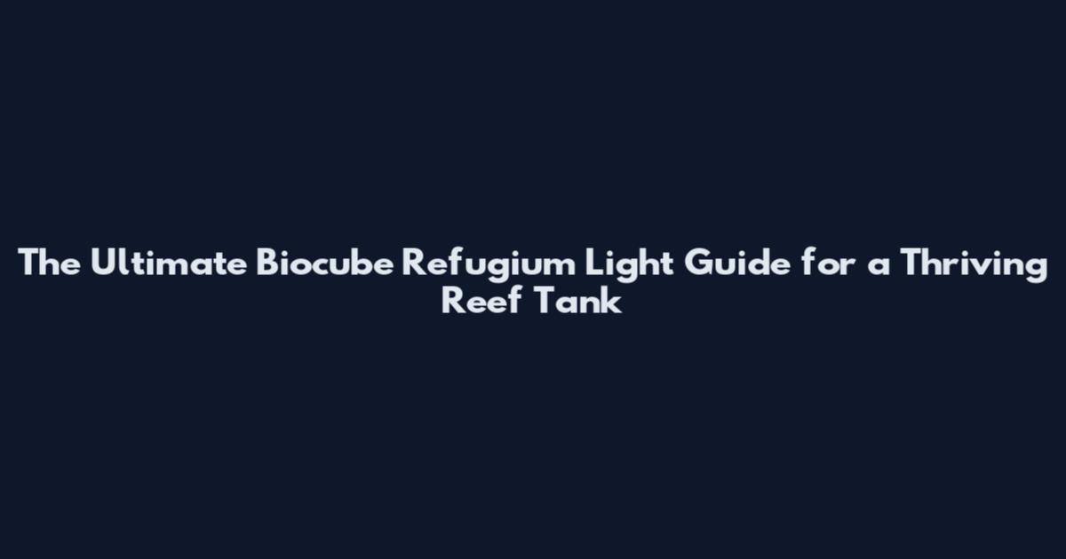 The Ultimate Biocube Refugium Light Guide for a Thriving Reef Tank