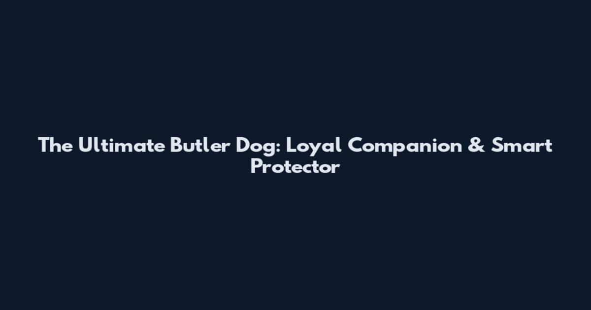 The Ultimate Butler Dog: Loyal Companion & Smart Protector
