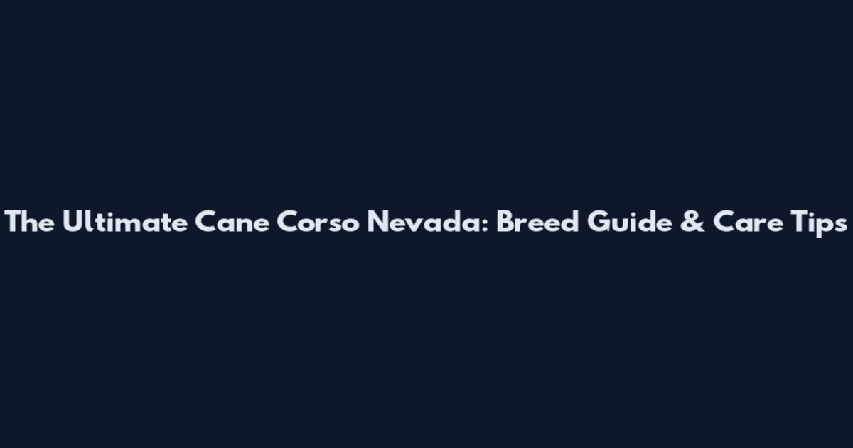 The Ultimate Cane Corso Nevada: Breed Guide & Care Tips