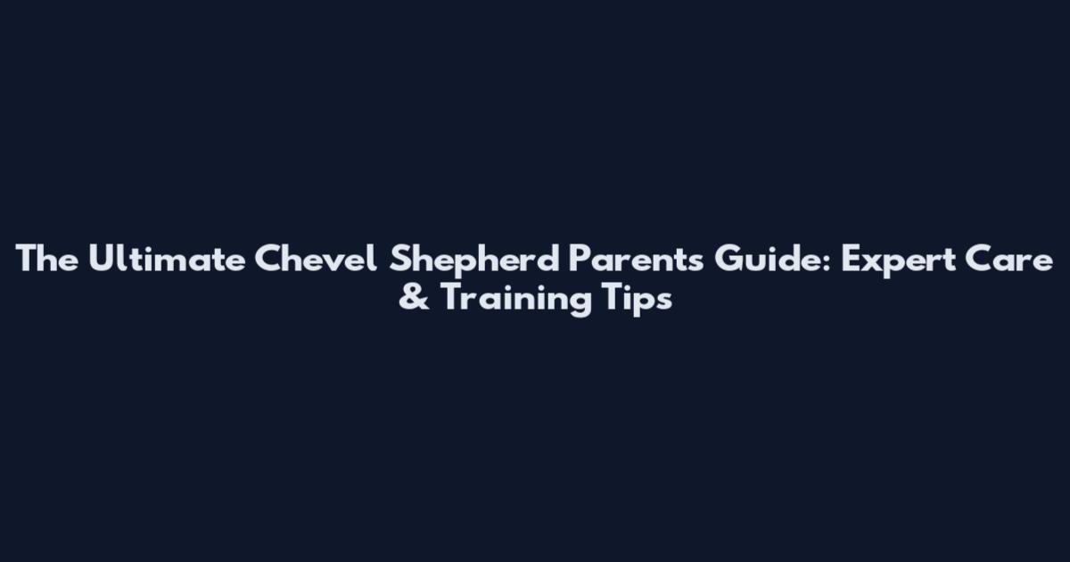 The Ultimate Chevel Shepherd Parents Guide: Expert Care & Training Tips