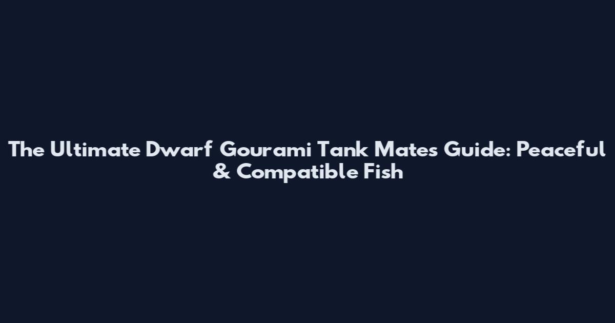 The Ultimate Dwarf Gourami Tank Mates Guide: Peaceful & Compatible Fish